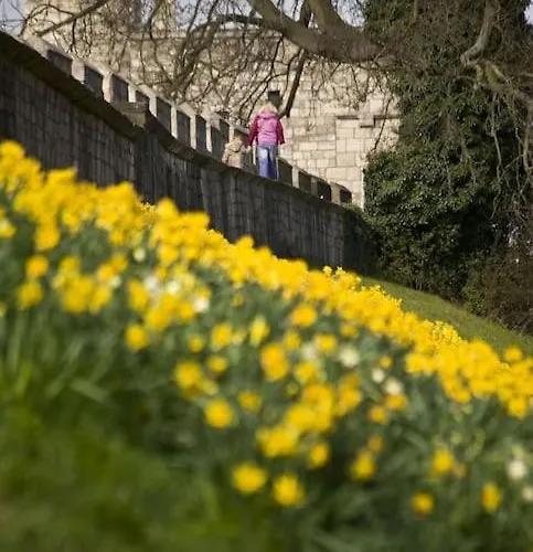 דירה Aldwark View With Free Parking יורק