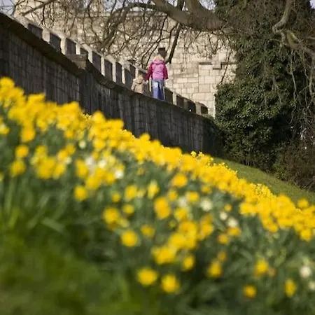 Lejlighed Aldwark View With Free Parking York